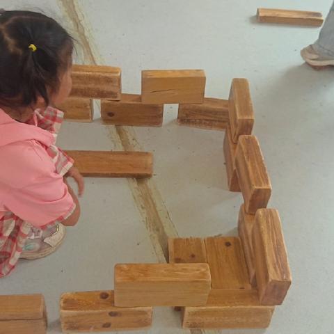 清平镇中心幼儿园代官屯大班《动物园搭建记》