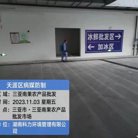 三亚南果农产品批发市场2023年11月3日开展登革热防控工作