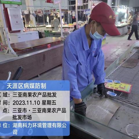 三亚南果农产品批发市场2023年11月10日开展登革热防控工作