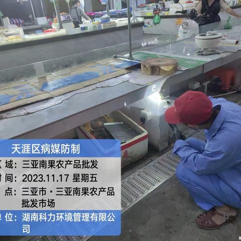 三亚南果农产品批发市场2023年11月17日开展登革热防控工作