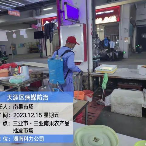 三亚南果农产品批发市场12月15日开展病媒防治工作