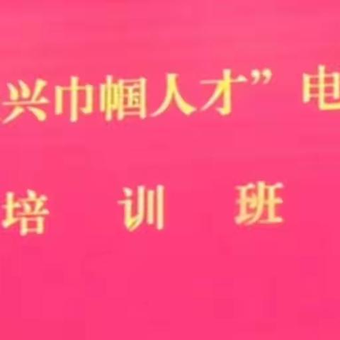 “乡村振兴巾帼人才”电商技能培训纪实