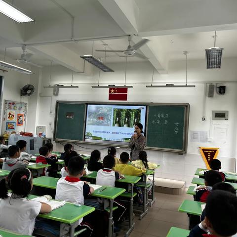 以研促教，共同进步——福州市朝阳小学语文教研活动