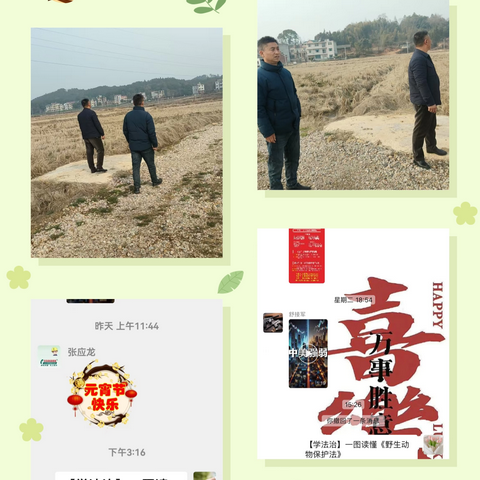 开展“天网”清除，保护野生动物-河埠村文明实践站