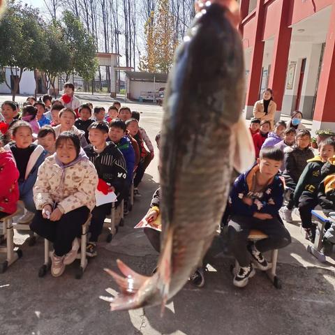 期中表彰树榜样 砥砺前行再起航 ——留盆镇前徐小学期中总结表彰大会