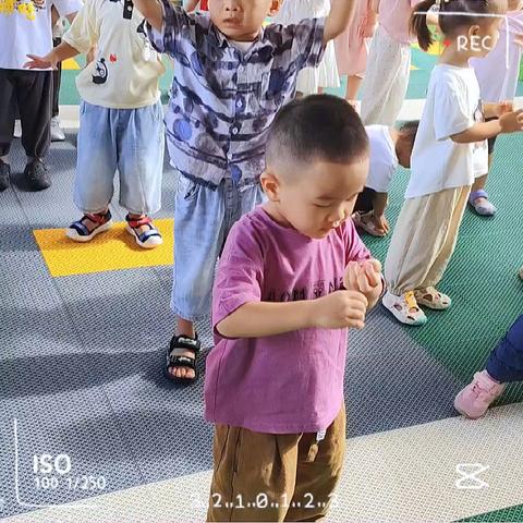 海之星幼儿园小班第6周记