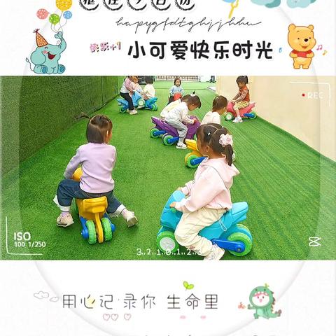 海之星幼儿园小班第12周记