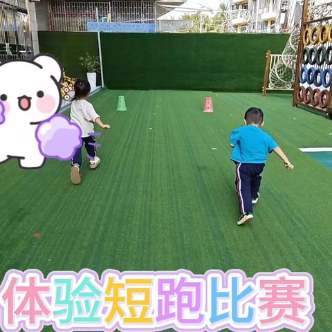 海之星幼儿园小班第15周记