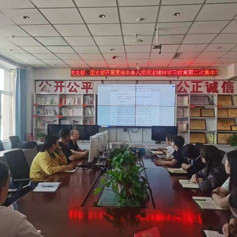 国能党支部、团支部组织党员、团员、入党积极分子、发展对象开展深入贯彻中央八项规定精神学习教育第二次集中学习