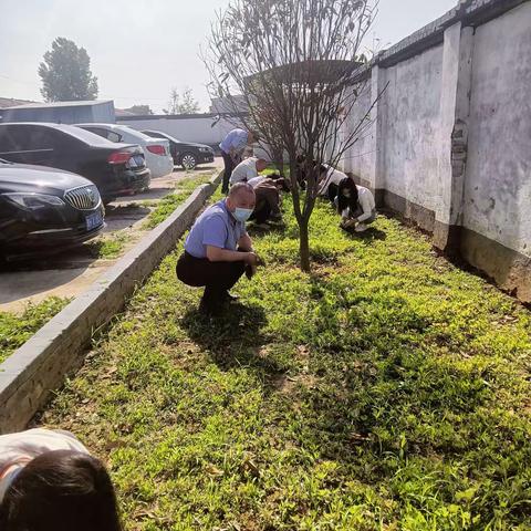 孝敬镇卫生院党支部开展义务除草主题党日活动