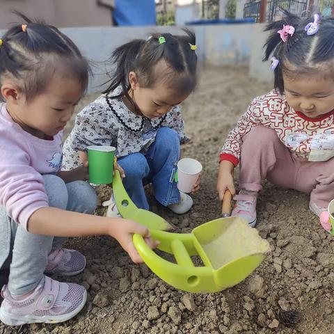 蔬菜那些事——京师幼儿园小三班周记