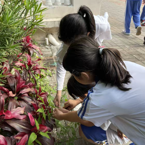 魔法尺子量春天