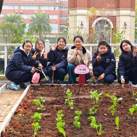 泥土润心，劳动赋能 —— 长外"耘梦田园"开耕，让成长扎根实践