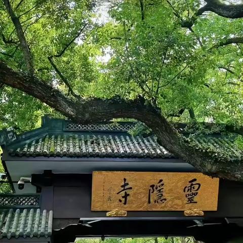 康姿百德沈阳合作街店十月“烟雨江南”杭州.横店.绍兴.乌镇九日游即将启程