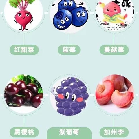 澄城县恒大幼儿园中一班科学小实验——《神奇的紫甘蓝》