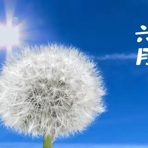 六月盛夏，繁花锦簇，拥抱每一缕阳光