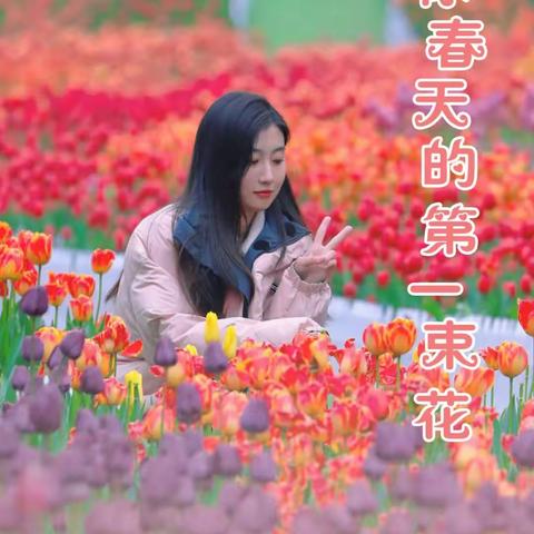 春天来啦,花海宝泉“郁”你相约，送你春天的第一束花！