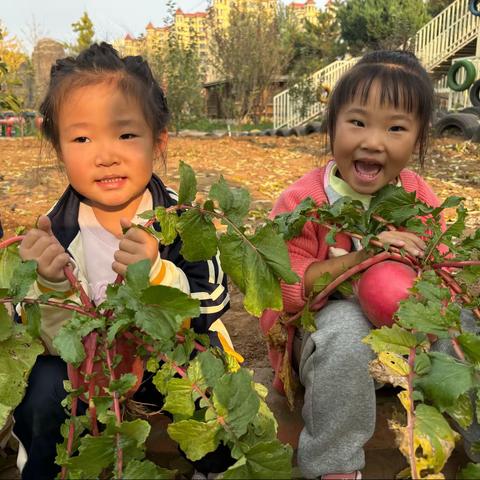 幼儿园的快乐生活——财经附属幼儿园中三班一周回顾