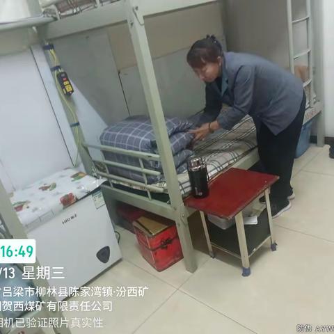 贺西煤矿物业11.13日报