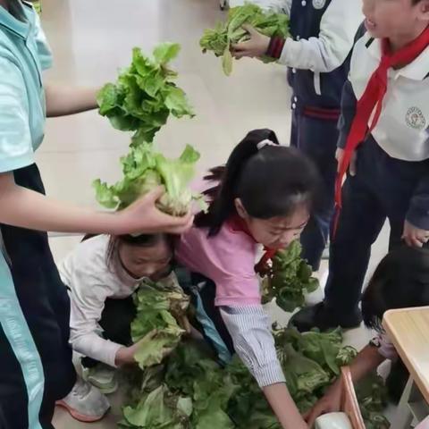 收获喜悦，种植快乐--高沙小学三（3）班种植活动