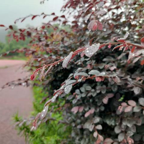 城乡结队沐人心 携手共进促发展——泉峰小学送培洋泉中心小学第四阶段研课磨课