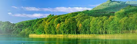 由“公民记者”到“千阳自媒体”