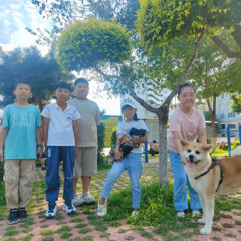 劳动一“夏”“暑”你精彩                 吉庆小学3.1劳动教育活动纪实