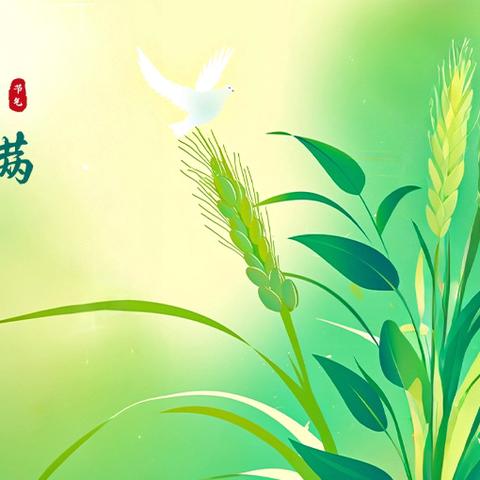 初夏迎小满，万物皆欢喜——长青壹号尚远幼儿园小满节气活动