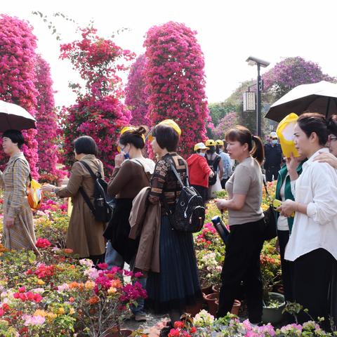 和安巧珠健身队旅游万聚仙人洞