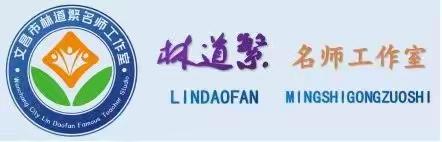 培育核心素养，打造高效课堂——文昌市林道繁名师工作室送教下乡活动