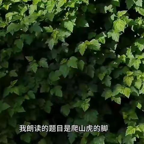 书香润心灵，朗诵促成长——五指山市毛阳中心学校语文组第八期朗读活动