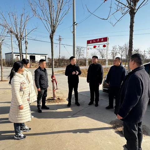 【找问题 促提升 求成效】槐桥镇常态化开展人居环境观摩活动