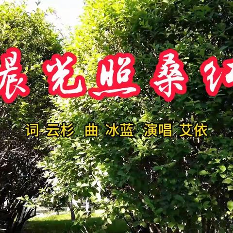 首发原创:晨光照桑红