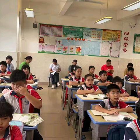 以问为梯，叩击心灵之门 ——《麻雀》“问题链”课题研究课纪实