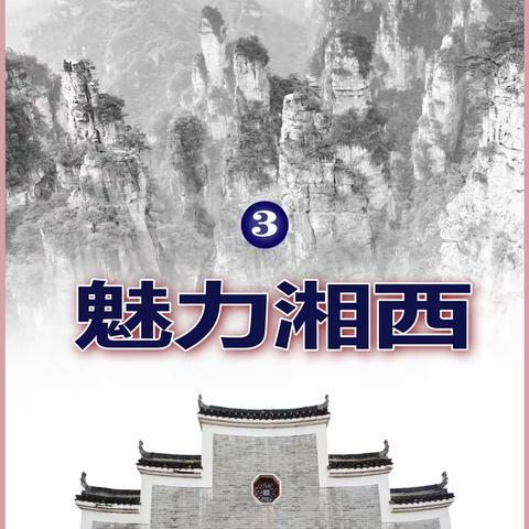 全泰的文章