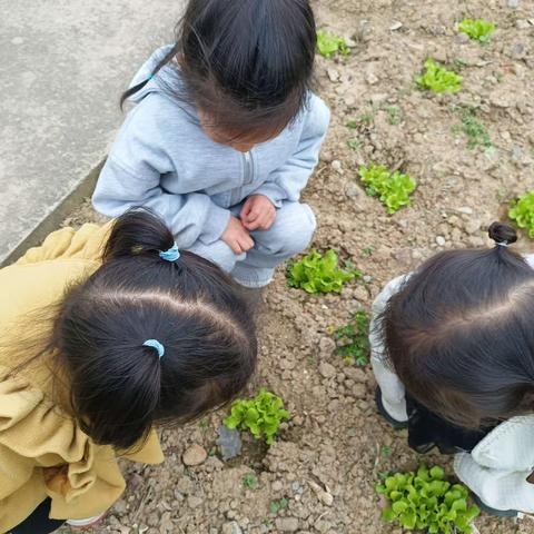 有趣的洞洞——川幼小2班课程活动