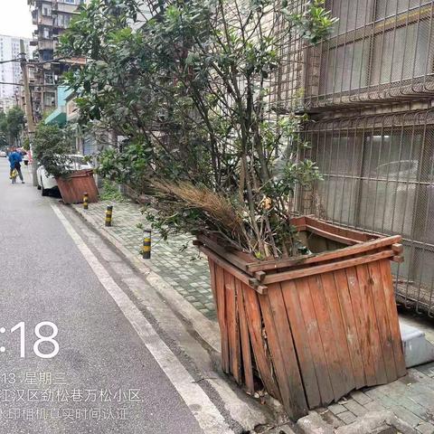 移除破损花箱，维护市容环境