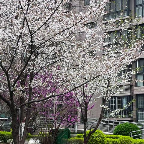 逸品紫晶2023年3月工作汇报