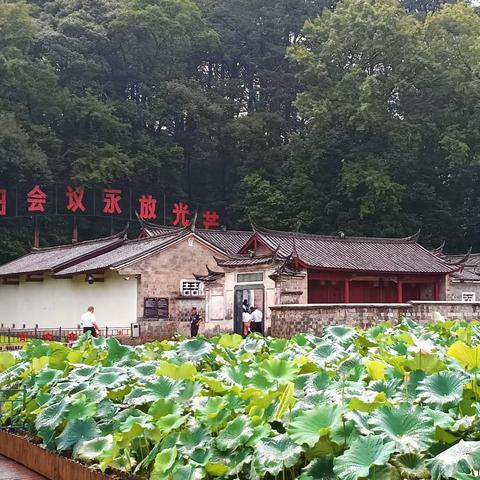 “古田会议永放光芒” 记暑假红色之旅