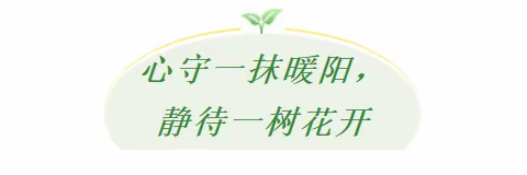 心守一抹暖阳，静待一树花开——403班班级掠影