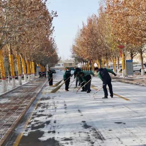 运输公司地区公司库车项目   冬雪如约而至 物业除雪暖人心