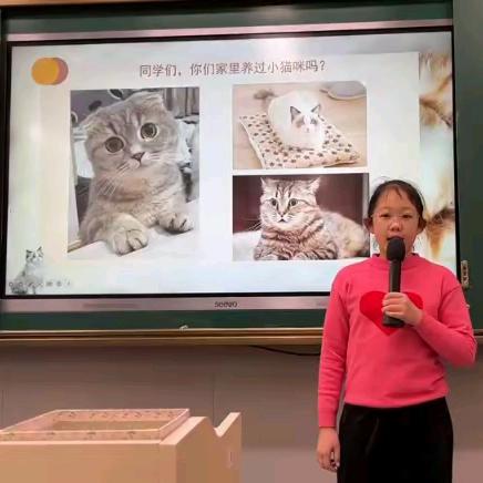 小小老师 ﻿大大风采——双峰小学庾亮校区21级（3）班小老师讲堂开课了(十)
