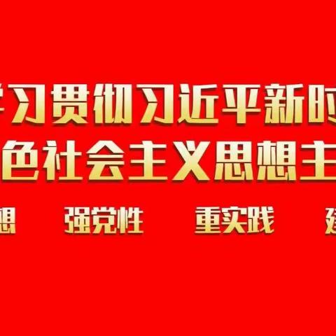 以主题教育实效推动工作高质量发展