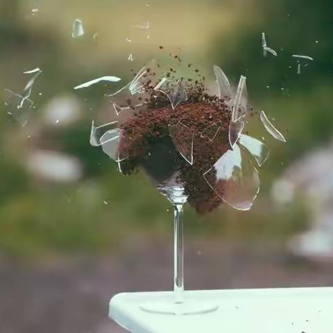 聆听花开的声音🌸