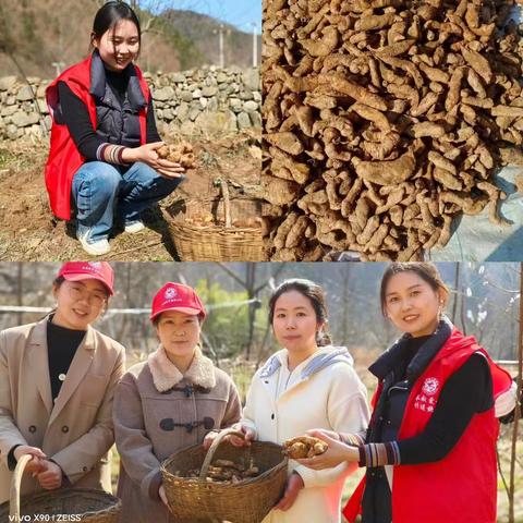 花开三月天 巾帼绽芳华---两岭镇开展志愿服务暨“三八”国际妇女节系列活动