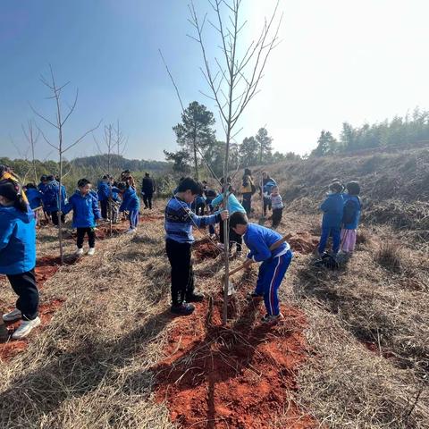 我为世界种棵树   我和小树共成长                ——记2105彩虹中队植树活动