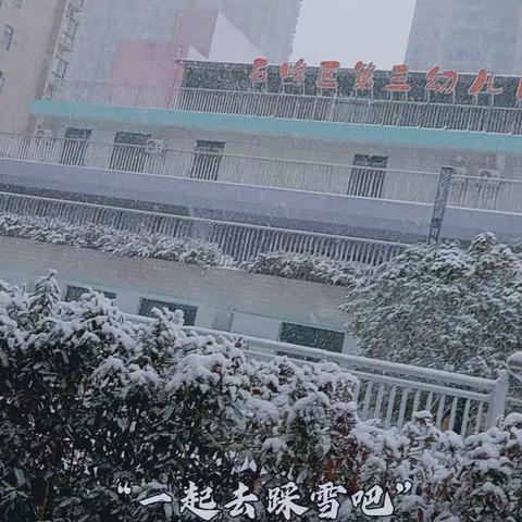 赏雪-戏雪-探雪——石峰区第三幼儿园大三班