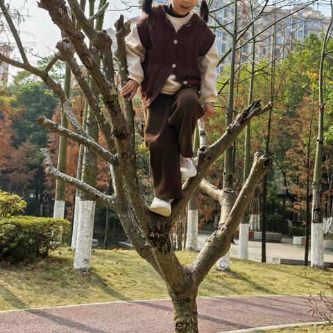 树宝小学一年级的寒假