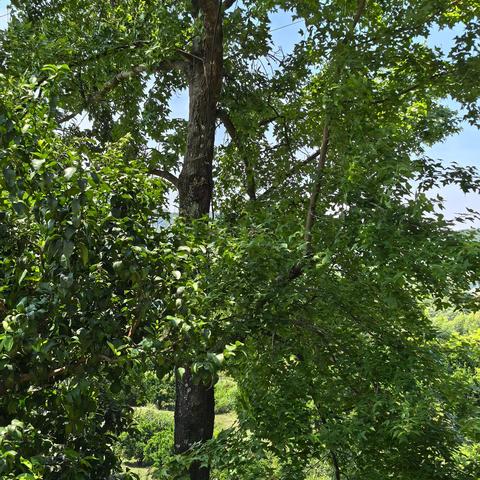 五一劳动节快乐