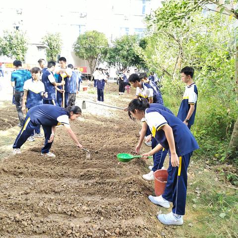 2301班劳动基地记录之劳动创造美好